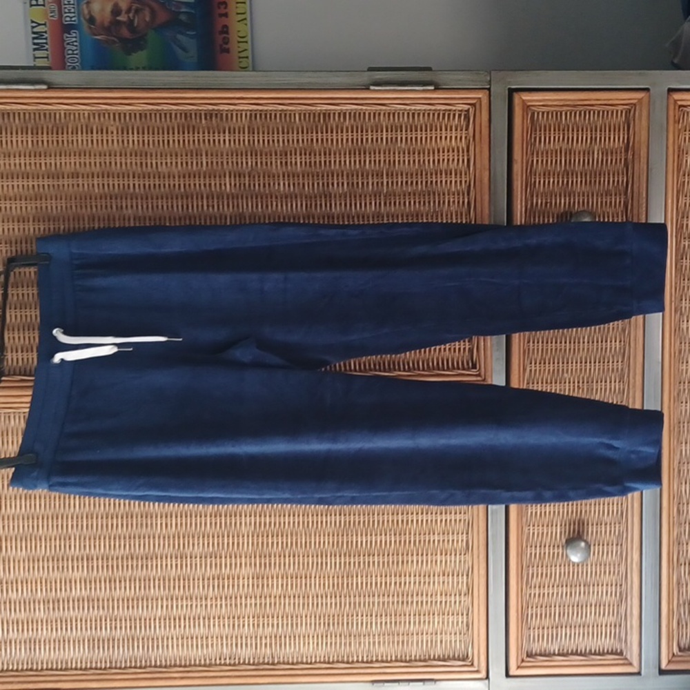 J. Crew Women's Navy Blue Velour Soft Jogger Pants